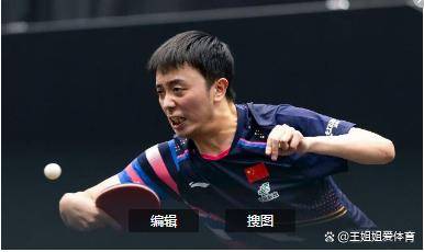 日本乒乓球队绝杀比利时乒乓球队，王皓统治全场的简单介绍
