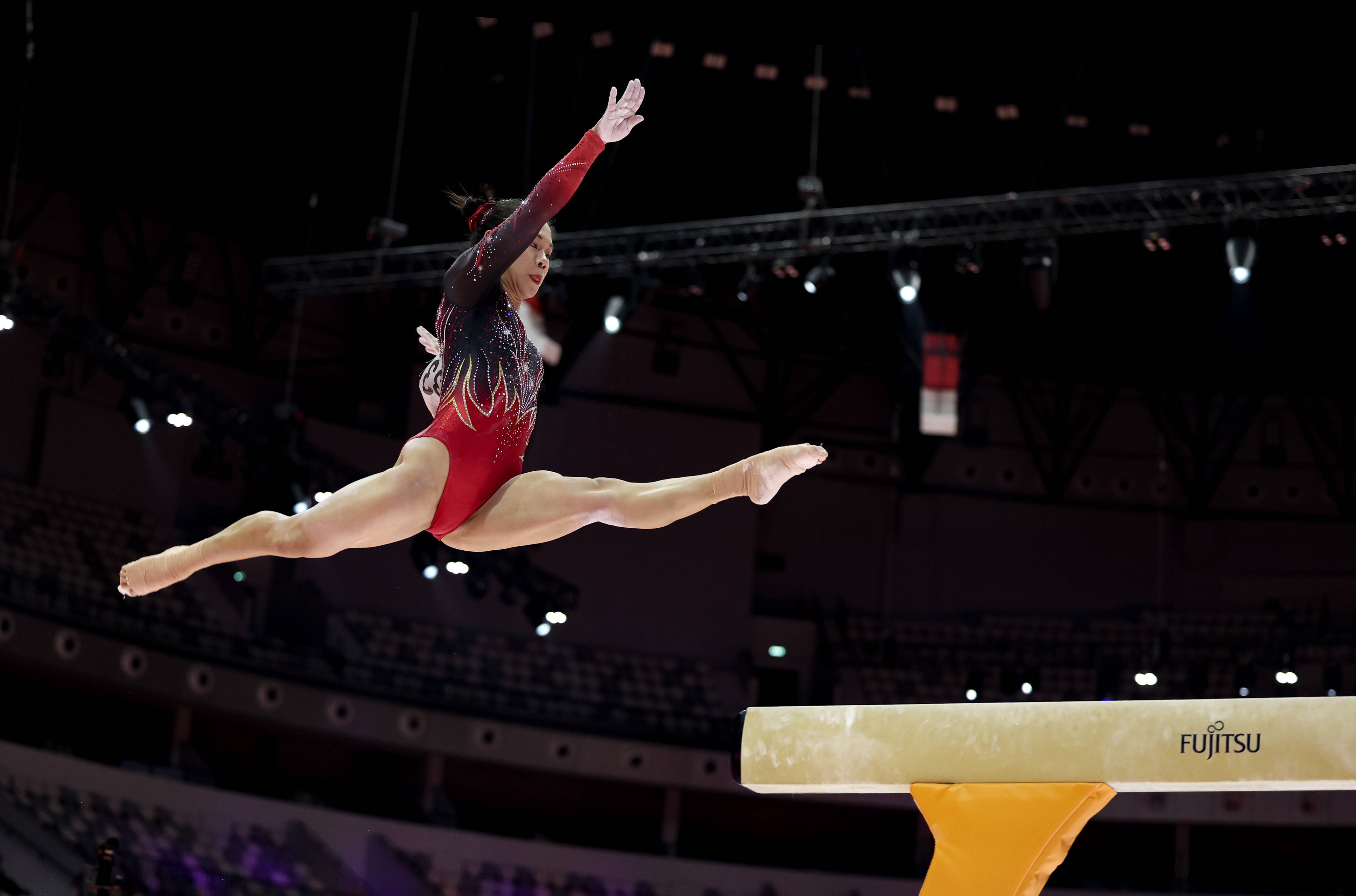 体操比赛中国队包揽冠亚，完美表现的简单介绍