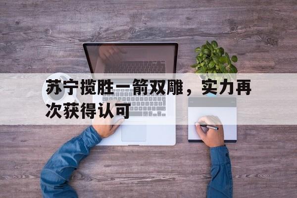 九游娱乐入口-苏宁揽胜一箭双雕，实力再次获得认可