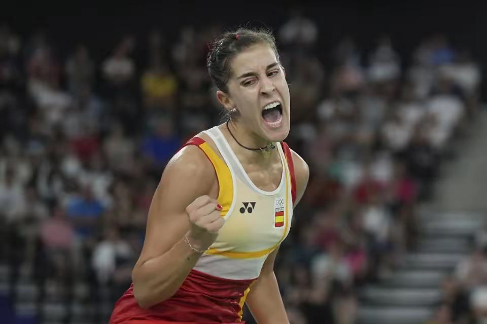 九游APP-法国队鏖战丹麦队，马琳惊艳四座的简单介绍