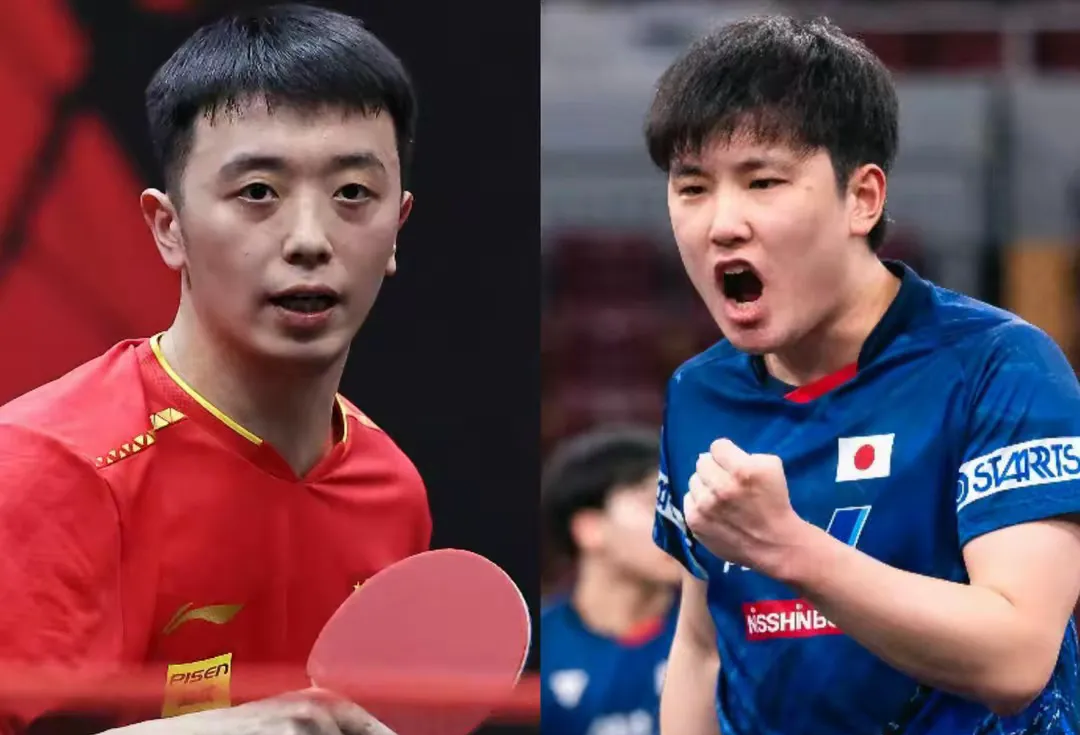 九游娱乐app下载-关于中国队轻取瑞典队，张本智和点燃赛场的信息