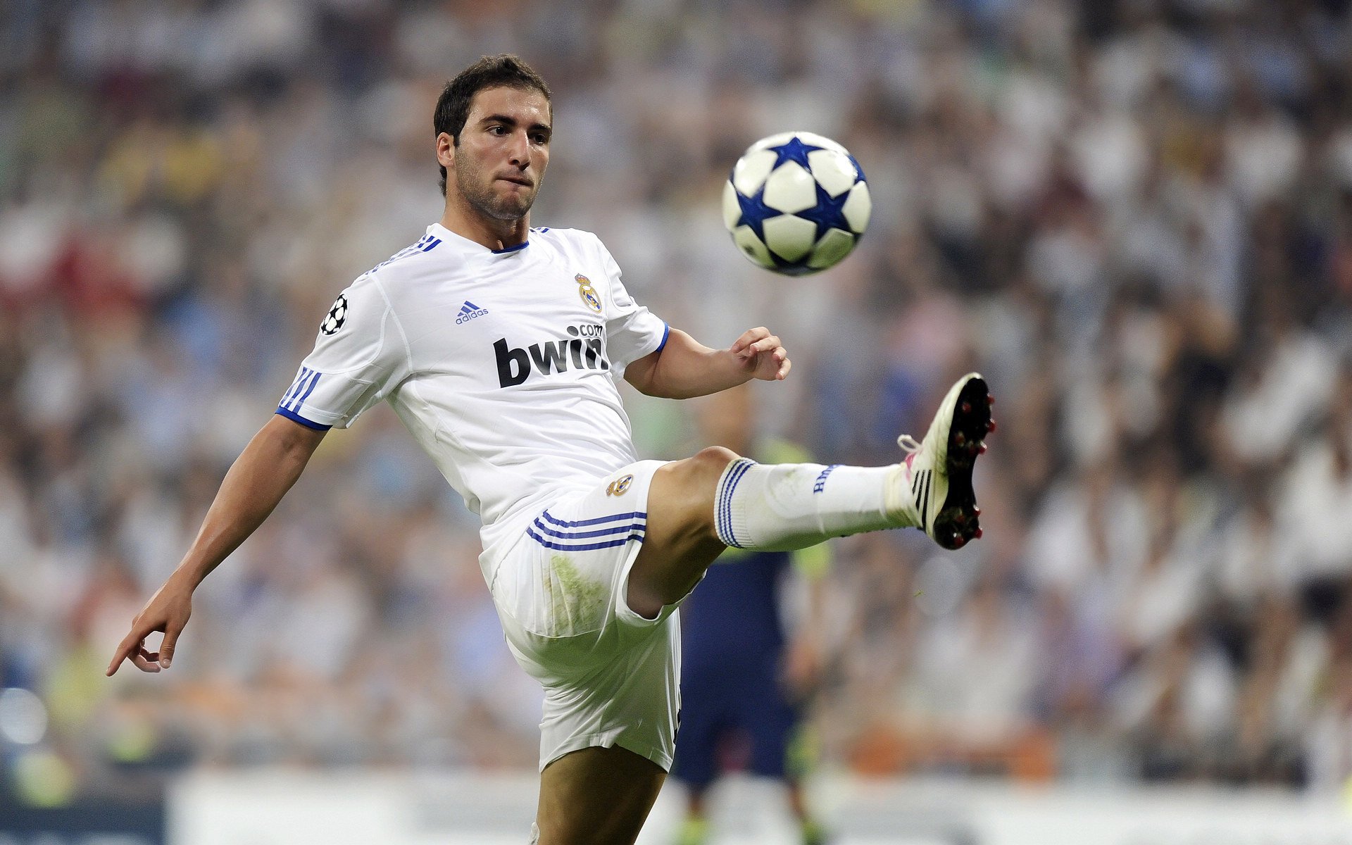 九游娱乐入口-孤星闪耀摩纳哥，威廉姆斯战术完胜梅赛德斯，勒克莱尔一肩扛起法拉利希望